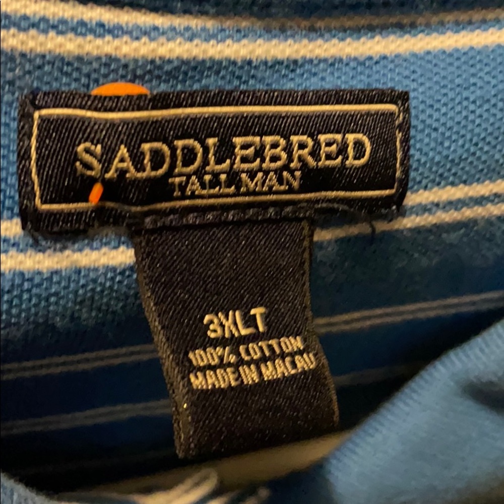 Tall man saddlebred
